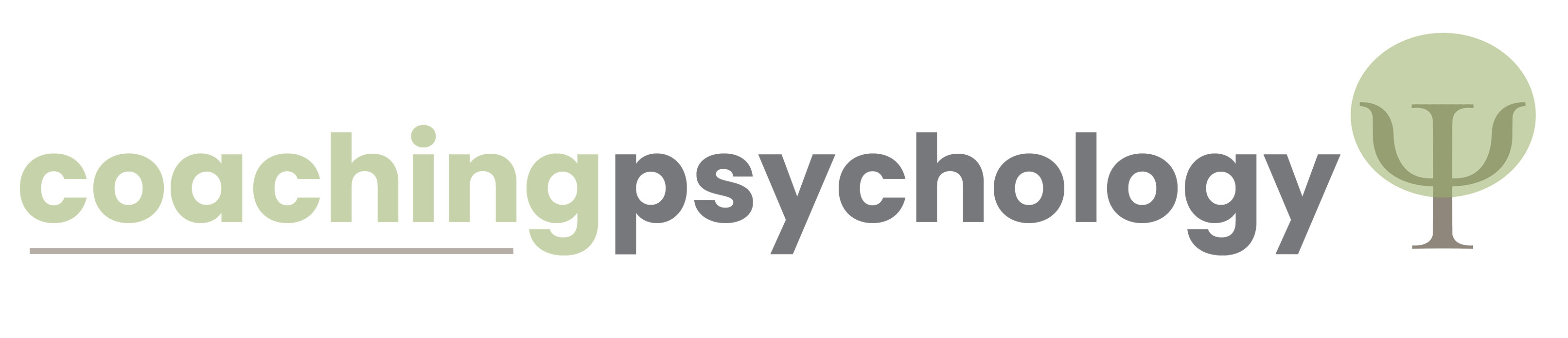 Providing Coaching Services to Individuals and Organisations